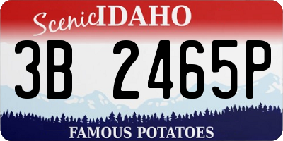 ID license plate 3B2465P
