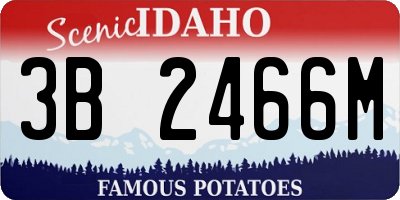 ID license plate 3B2466M