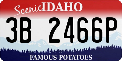 ID license plate 3B2466P