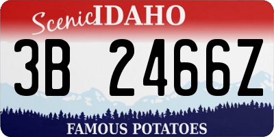 ID license plate 3B2466Z