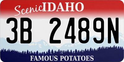 ID license plate 3B2489N