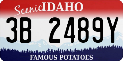 ID license plate 3B2489Y