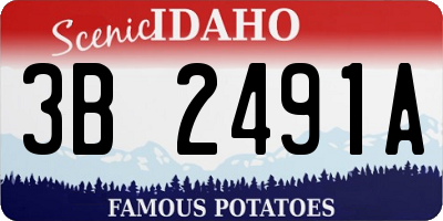 ID license plate 3B2491A