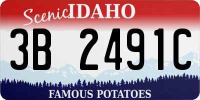 ID license plate 3B2491C