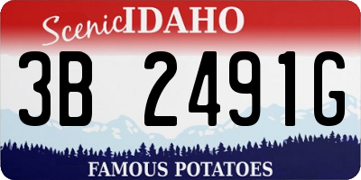 ID license plate 3B2491G