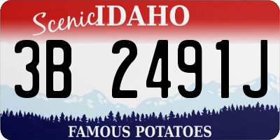 ID license plate 3B2491J