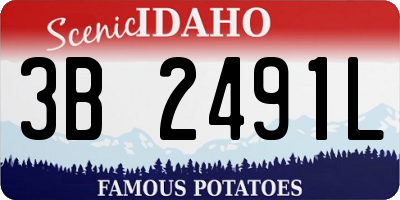 ID license plate 3B2491L