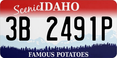ID license plate 3B2491P