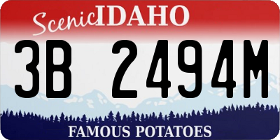 ID license plate 3B2494M