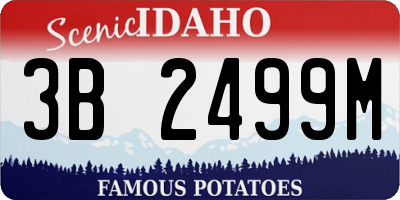 ID license plate 3B2499M