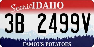 ID license plate 3B2499V