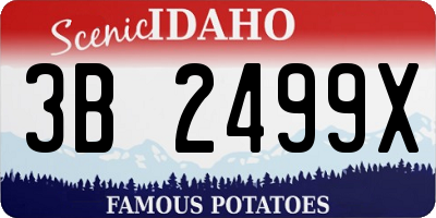 ID license plate 3B2499X