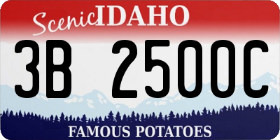 ID license plate 3B2500C