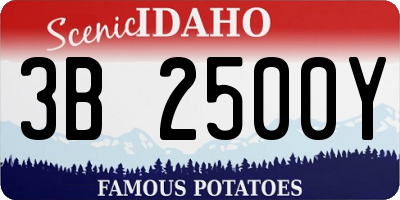ID license plate 3B2500Y