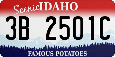 ID license plate 3B2501C