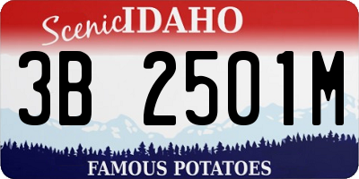 ID license plate 3B2501M