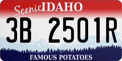 ID license plate 3B2501R