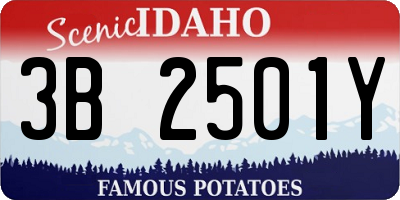 ID license plate 3B2501Y