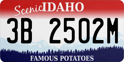 ID license plate 3B2502M