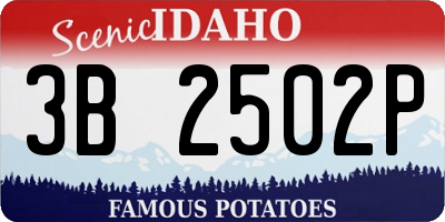 ID license plate 3B2502P