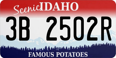 ID license plate 3B2502R