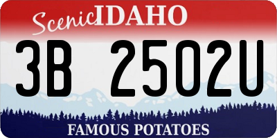 ID license plate 3B2502U