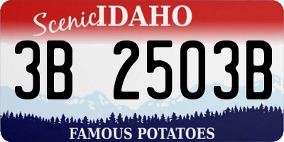 ID license plate 3B2503B