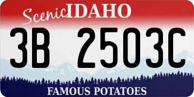 ID license plate 3B2503C