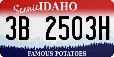 ID license plate 3B2503H