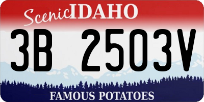 ID license plate 3B2503V