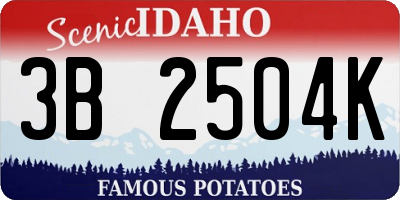 ID license plate 3B2504K