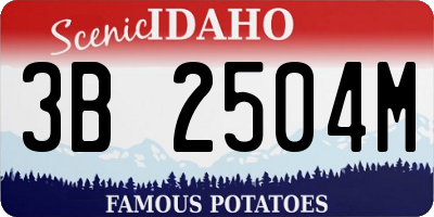 ID license plate 3B2504M