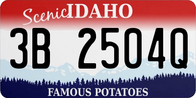 ID license plate 3B2504Q
