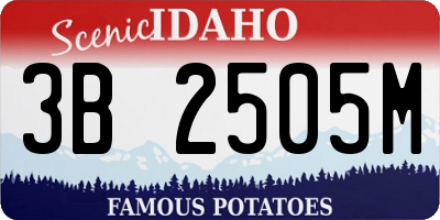 ID license plate 3B2505M