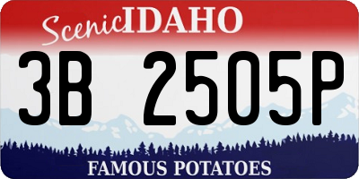 ID license plate 3B2505P