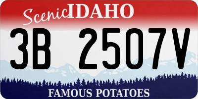 ID license plate 3B2507V