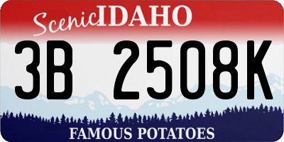 ID license plate 3B2508K