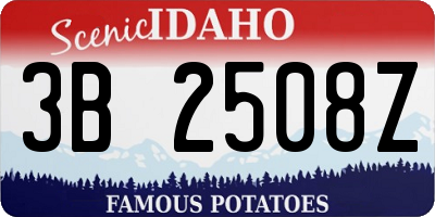 ID license plate 3B2508Z