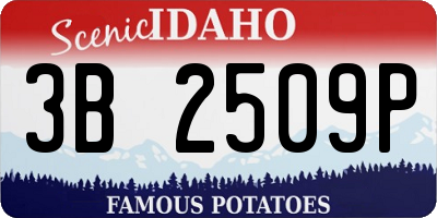 ID license plate 3B2509P
