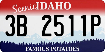 ID license plate 3B2511P