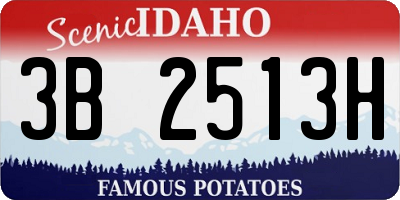 ID license plate 3B2513H