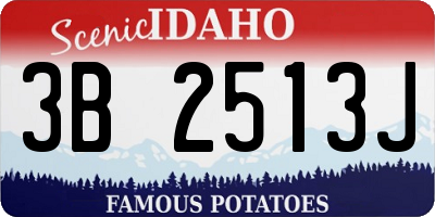 ID license plate 3B2513J