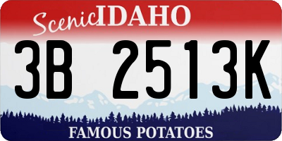 ID license plate 3B2513K