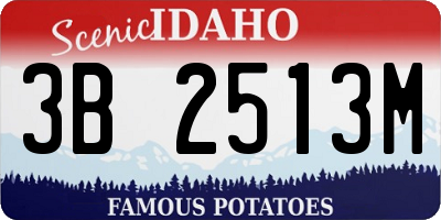 ID license plate 3B2513M
