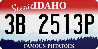 ID license plate 3B2513P