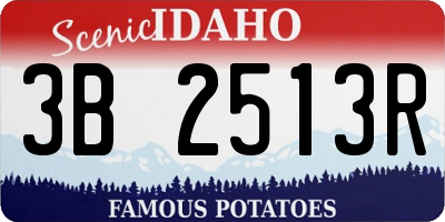 ID license plate 3B2513R