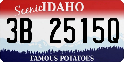 ID license plate 3B2515Q
