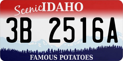 ID license plate 3B2516A