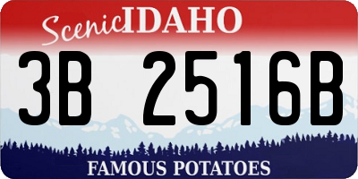 ID license plate 3B2516B