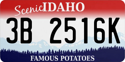 ID license plate 3B2516K